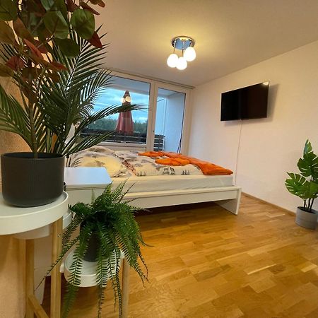 Ferienwohnung In Freudenstadt-Kniebis III Εξωτερικό φωτογραφία